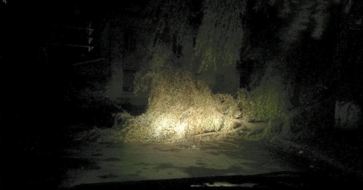 У Львові під час буревію впали дерева_6 / © facebook/Ігор Зінкевич