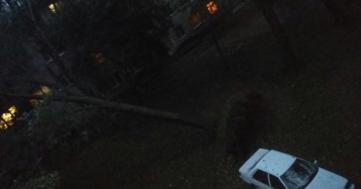 У Львові під час буревію впали дерева_2 / © facebook/Ігор Зінкевич