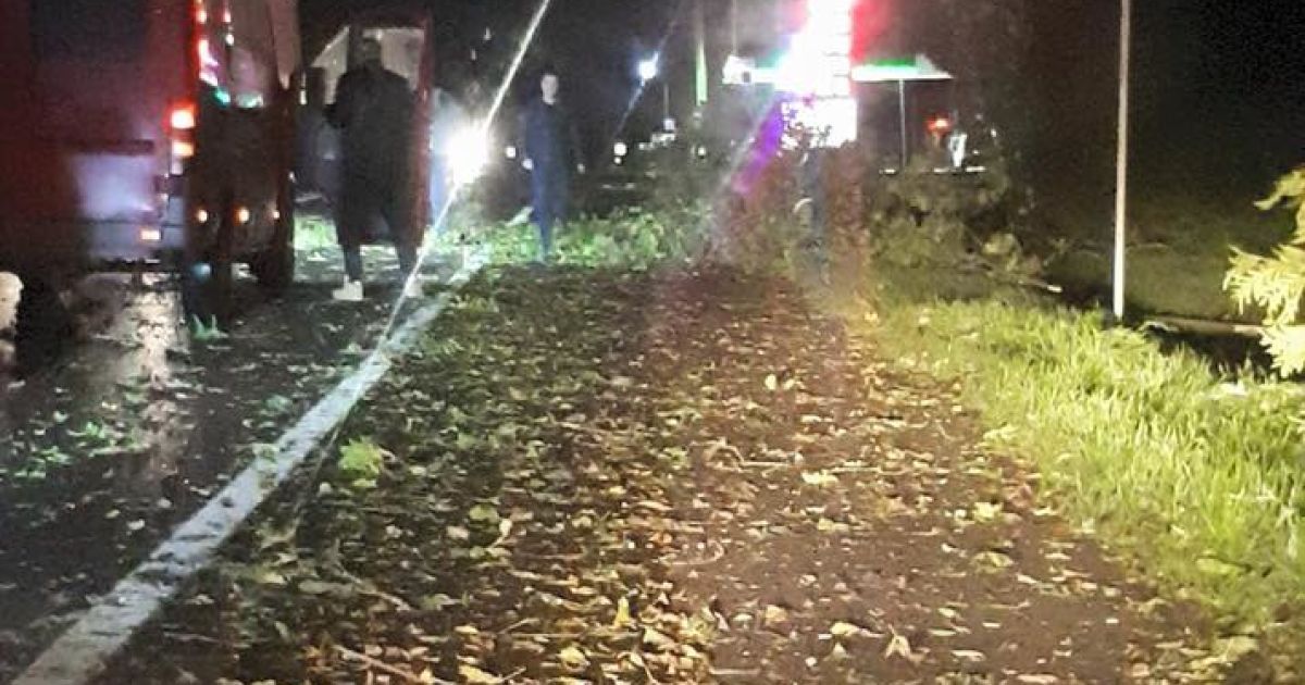 У Львові під час буревію впали дерева_5 / © facebook/Ігор Зінкевич