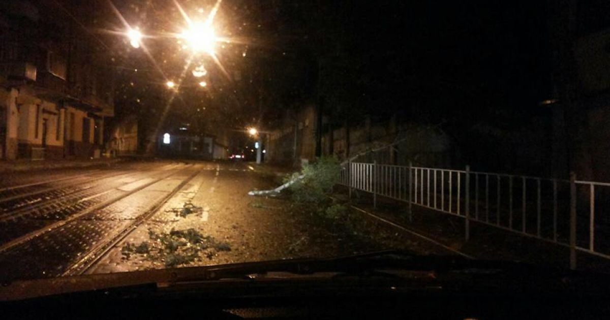 У Львові під час буревію впали дерева_3 / © Facebook/Варта 1
