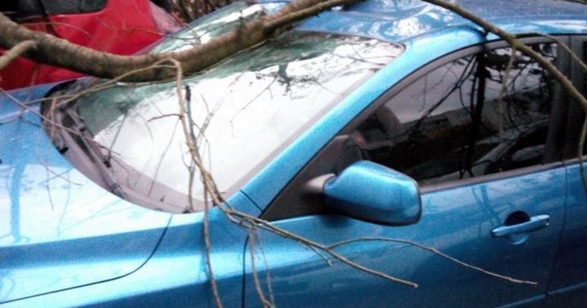 наслідки буревію у Львові_2 / © facebook/Ігор Зінкевич