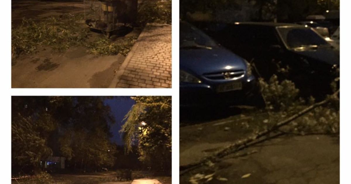 У Львові під час буревію впали дерева_4 / © Facebook/Варта 1