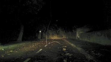 У Львові під час буревію впали дерева_12 / © facebook/Ігор Зінкевич