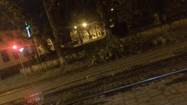У Львові під час буревію впали дерева_11 / © facebook/Ігор Зінкевич