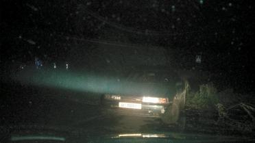 У Львові під час буревію впали дерева_9 / © facebook/Ігор Зінкевич