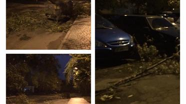 У Львові під час буревію впали дерева_4 / © Facebook/Варта 1