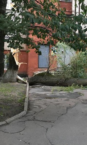 На Львовщине почти 70 населенных пунктов до сих пор обесточены, а ураган надвигается на юг страны