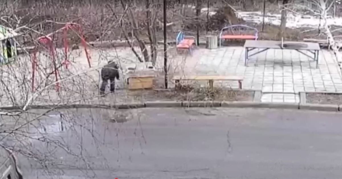 Конають у страшних муках: з'явилося відео, як жінка труїть безпритульних собак у Слов'янську (відео)