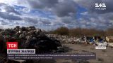 Новини України: в Запорізькій області виявили величезне звалище смертельно небезпечних речовин