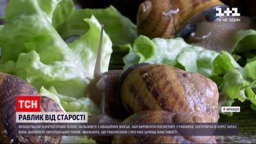 Новини світу: як "подоїти" равлика і зробити з нього косметичний засіб