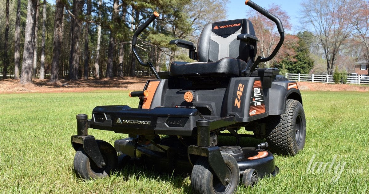 Когда впервые косить газон после зимы