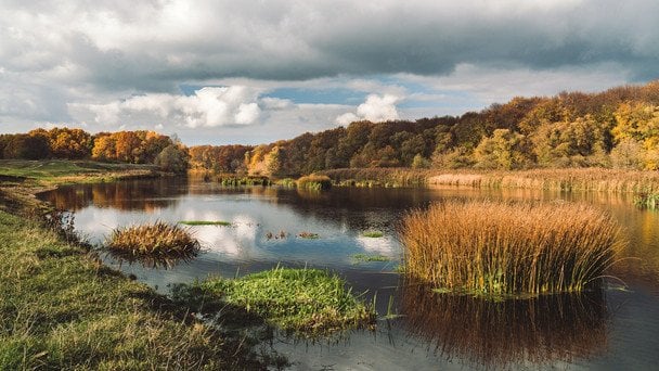 Народні прикмети 2 жовтня / © unsplash.com