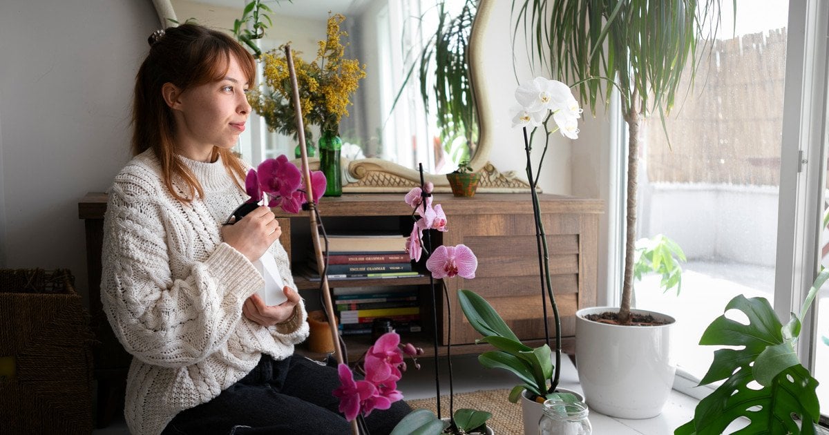 Чим підживлювати кімнатні рослини взимку