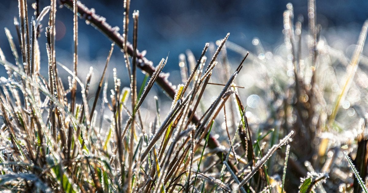 Який сьогодні, 7 лютого, день ангела