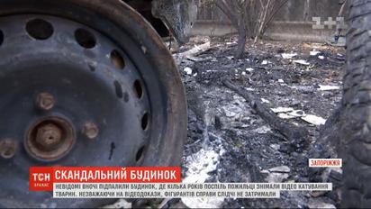 В Запорожье ночью подожгли дом, где несколько лет подряд живодеры издевались над животными