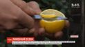 Откуда в Украину привозят лимоны и как выбрать лучший