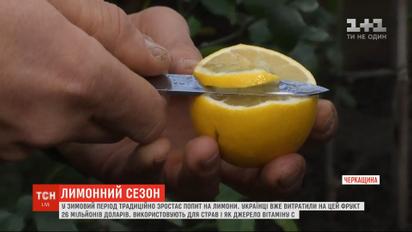 Откуда в Украину привозят лимоны и как выбрать лучший