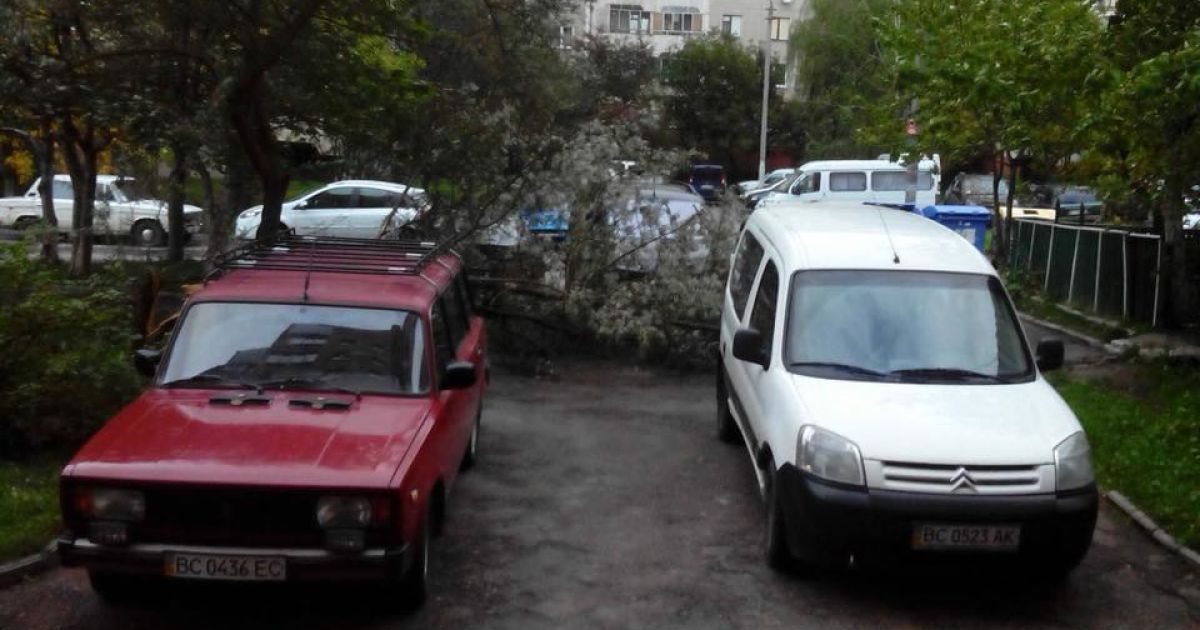 наслідки буревію у Львові_2 / © facebook/Ігор Зінкевич