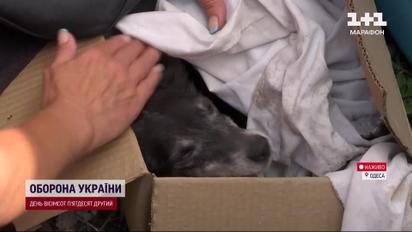 Взрыв в Одессе! Мощный пожар! Раненые люди!