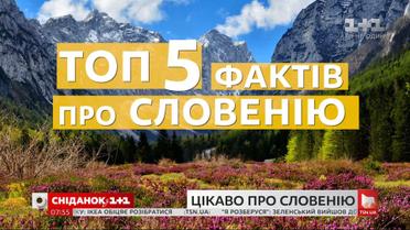 День государственности Словении: интересные факты о стране