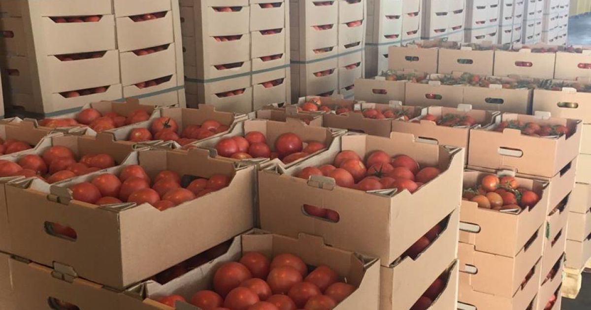 Украина экспортировала агропродукции на 7,7 миллиарда долларов