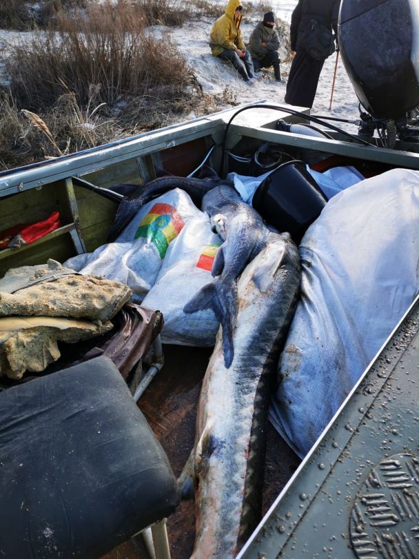  / © Госпогранслужба Украины
