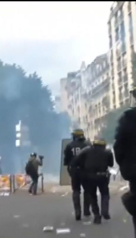 Мирное шествие демонстрантов в Париже закончилось жестокой дракой с полицией