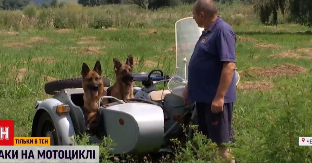 На Черкащині чоловік щодня возить собак мотоциклом на прогулянки — Ексклюзив ТСН — tsn.ua - Vimarsana News
