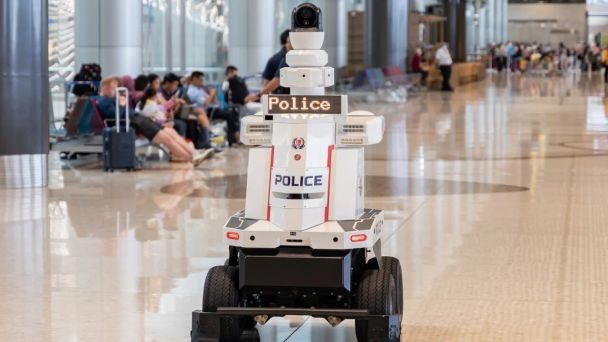 Фото: Singapore Police Force
