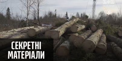 Черные лесорубы: почему не прекращается незаконная вырубка Карпат – Секретные материалы