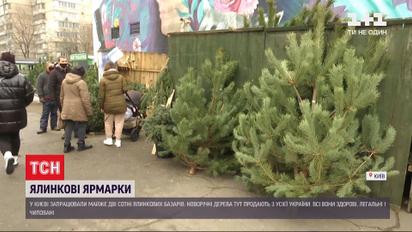 Елки в законе: в КГГА призвали не покупать хвойные деревья на стихийных рынках