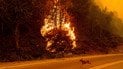 В Іспанії 12 людей загинули внаслідок лісової пожежі
