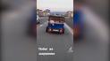 На Закарпатье свинья выпрыгнула из машины прямо во время движения
