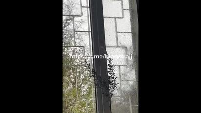 В Севастополе раздается тревога