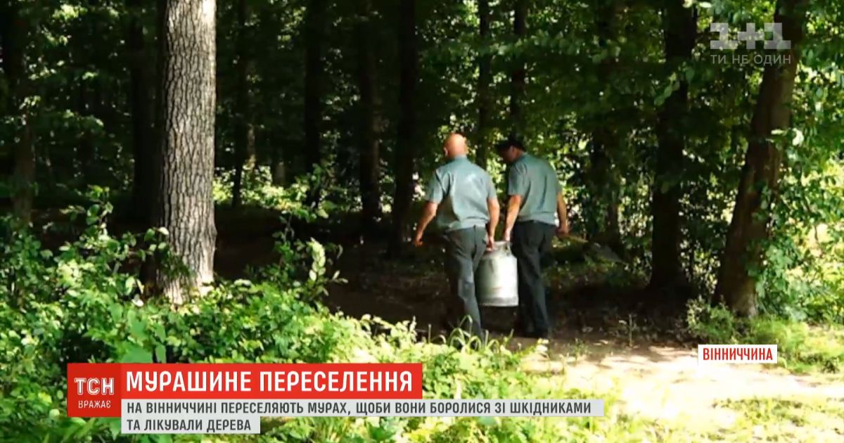 В Винницкой области испытывают новый метод борьбы с вредителями