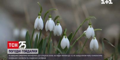 Погода в Украине: температура на выходных будет достигать +12 - появятся первые подснежники