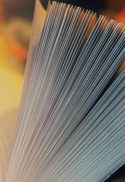 Новая история о "Золушке": #книголав издал сказку для школьников