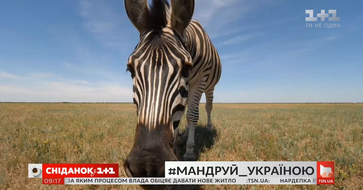 Мой путеводитель. Херсонщина – розовое озеро, сафари с зебрами, пустыня, острова посреди Днепра