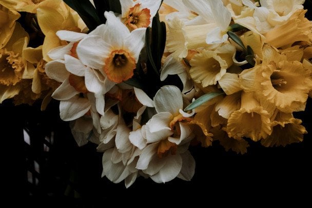 День ангела 20 лютого — душевні привітання в прозі / © unsplash.com
