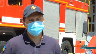 В Луганській області сталися масштабні лісові пожежі