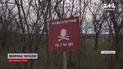 Замість ракет, мін та снарядів – дерева: на Миколаївщині взялися за благоустрій території  
