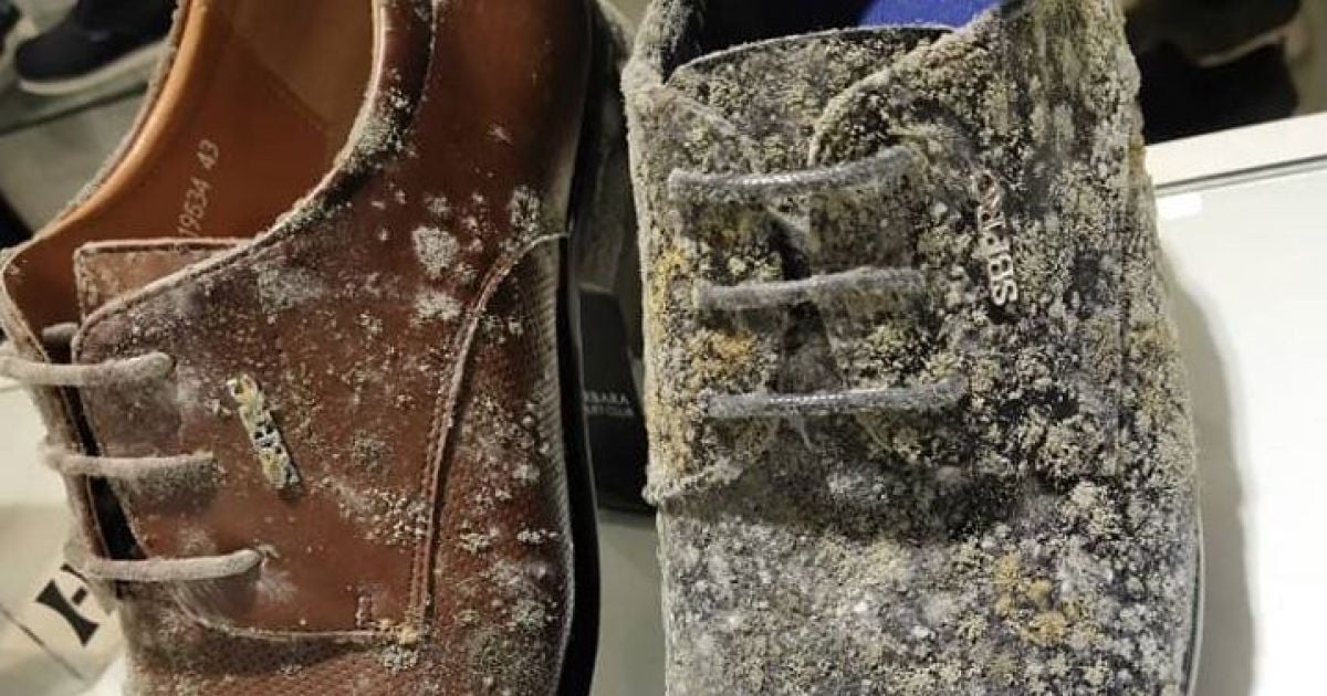 Після 2 місяців карантину шкіряні вироби в малайзійському ТЦ вкрилися пліснявою 