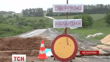 Африканську чуму виявили на Хмельниччині