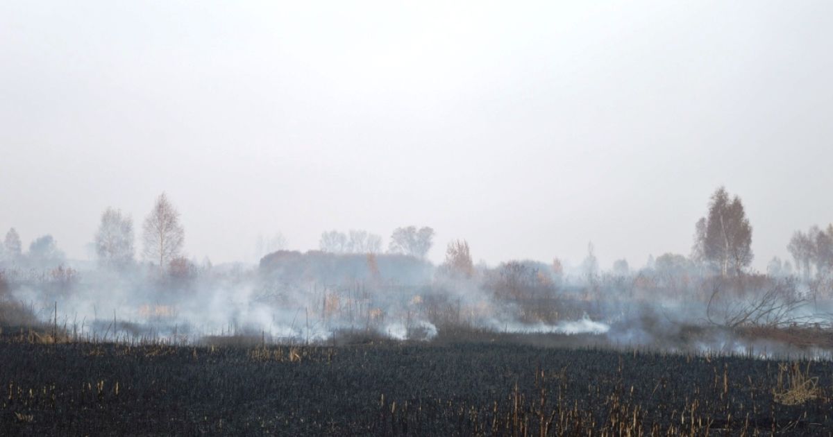 На Чернігівщині рятувальники вже тиждень гасять масштабне займання торфовищ