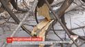Предвесенний ураган: на Львовщине объявили штормовое предупреждение