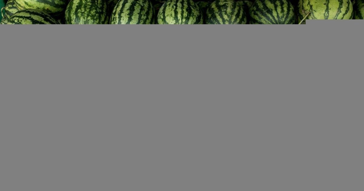 Збір кавунів в Україні розпочався від середини червня