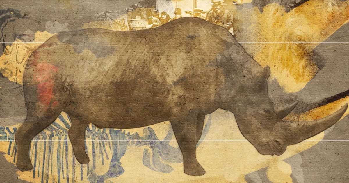 Мамонт и шерстистый носорог. Каких животных ледникового периода нашли на Прикарпатье и что могут найти еще — Украина
