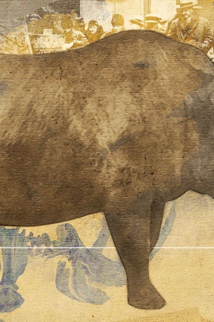 Мамонт и шерстистый носорог. Каких животных ледникового периода нашли на Прикарпатье и что могут найти еще