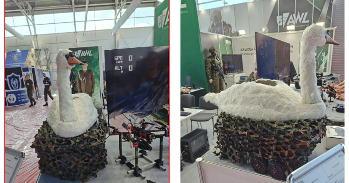 "Бойовий лебідь" для розвідників: що відомо про новий дрон Kaczka (фото)