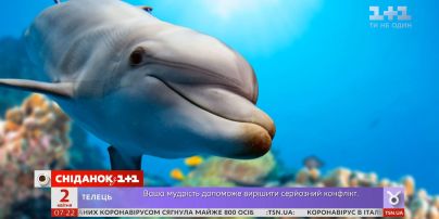 Про звук: что мы слышим и главное как
